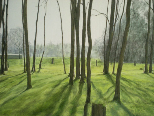 Schattenspiel / Acryl, ingerahmt / 40x70 cm /----CHF 1'800----