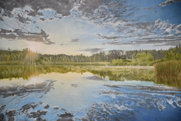 " Wiederspiegelung " / Öl / 50x70 cm / 2023 /----CHF 3'200----