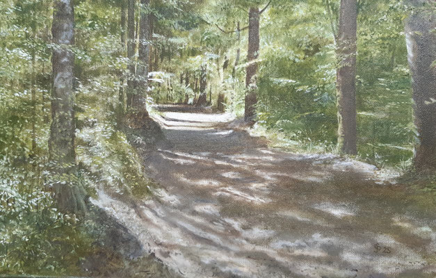  Schatten / Öl / 30 x 40 cm / 2025 /----CHF 1'100----