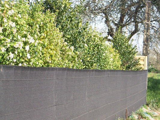 toile noire