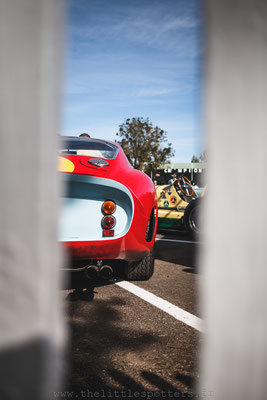 Ferrari 250 GTO - Goodwood Revival 2019