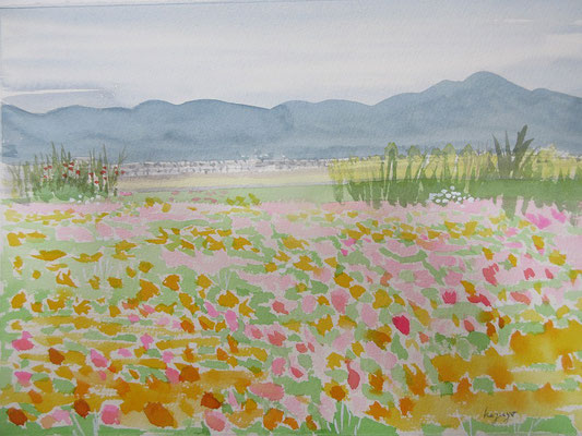 二上山と秋桜（奈良の山の辺の道）