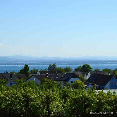 Blick auf den Bodensee