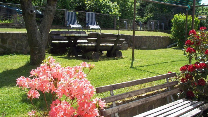 Gästezimmer Meinel Urlaub Ostsee Badeurlaub Siteseeing Unterkunft Bad Doberan Hotel Unterkunft Ostsee Zimervermietung Bad Doberan Zimmervermittlung Einzellzimmer Doppelzimmer Ferien an der Ostsee Radwege Radtour Fahrradwege Fahrradtour