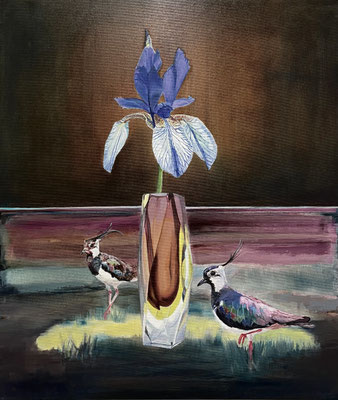 Kiebitz, 2023, Öl auf Leinwand, 70 x 60 cm