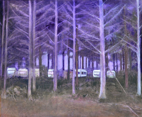 Camperforst, 2010, Öl auf Leinwand, 50 x 60 cm, Sold