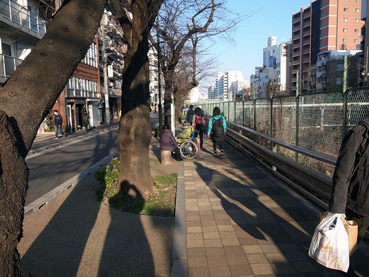 再び線路に沿って桜並木を歩く。