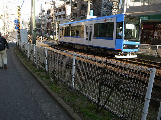 都電荒川線に沿って進む。