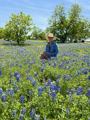 Ich in den Bluebonnets