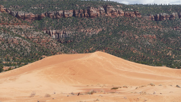 der Gipfel der Sanddünen