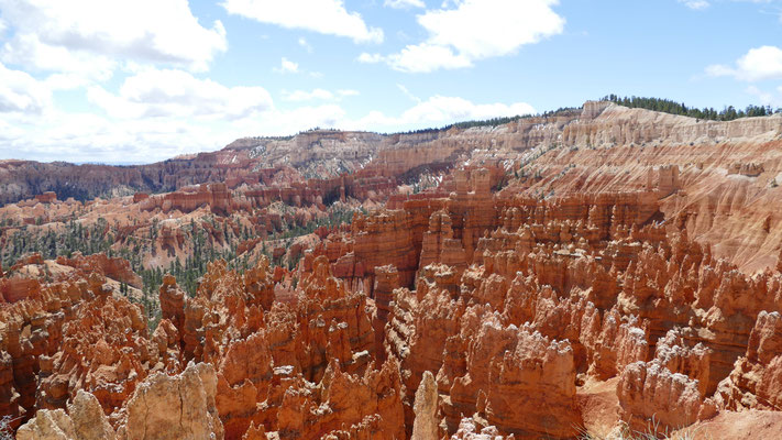 und noch mehr rote Felsen