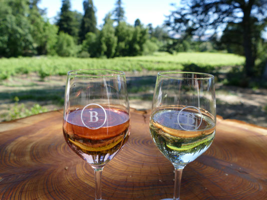 Lecker Rosé und Weißwein im Weingarten