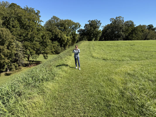 Ich stehe auf der ersten Stufe der "Mounds", die die Natchez Indianer gebaut haben. Darauf kommt noch ein kleiner Hügel und schon hat man eine Stätte, an denen die Indianer Rituale und Feste abgehalten haben