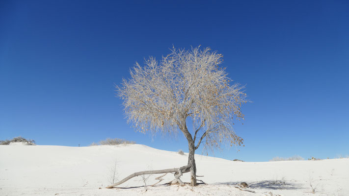Wenn man schnell drüber schaut, sieht es aus wie eine Winterlandschaft