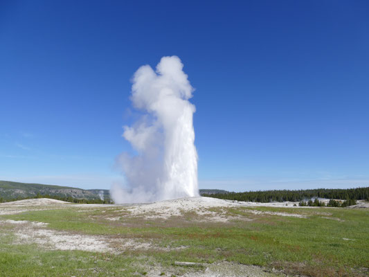 der "Old Faithful", der netter Weise direkt ausbrach, nachdem wir Platz genommen hatten