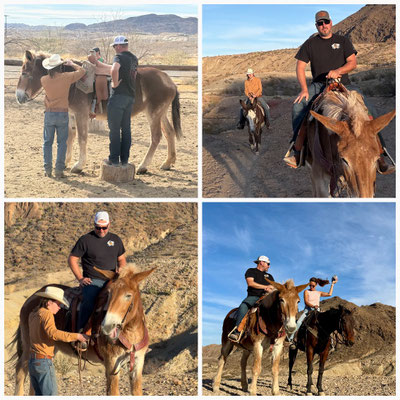 Gerrit steht auf einem Stumpf um aufzusteigen; unser Guide auf seinem Eselchen hinter Gerrits Riesen; Gerrit freut sich, dass Tulsa auch beim Guide nicht folgen will; Action beim Fotoshooting