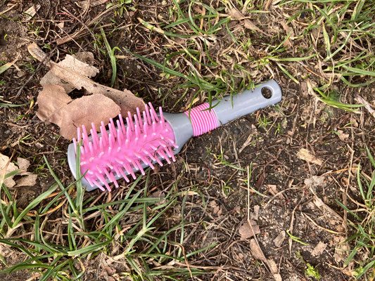 Foto 6: ein Beispiel für die reichlich gefundenen Hygieneartikel.
