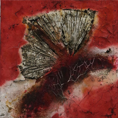 Moth, Canvas 60x60x2