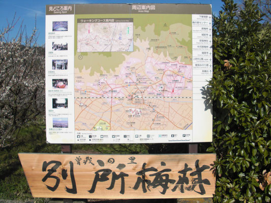 これより別所梅林です。