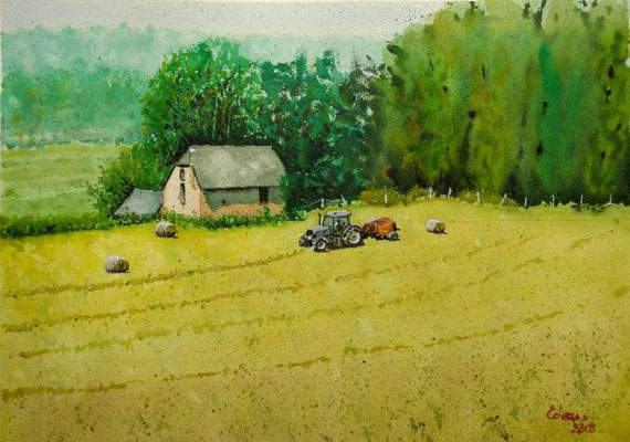 Le champ d'Accous. 26 x 36 cm