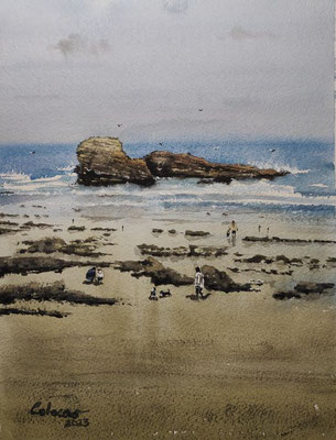 Balade à la plage. 20 x 16 cm
