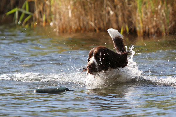 Wasser ist ihr Lieblingselement