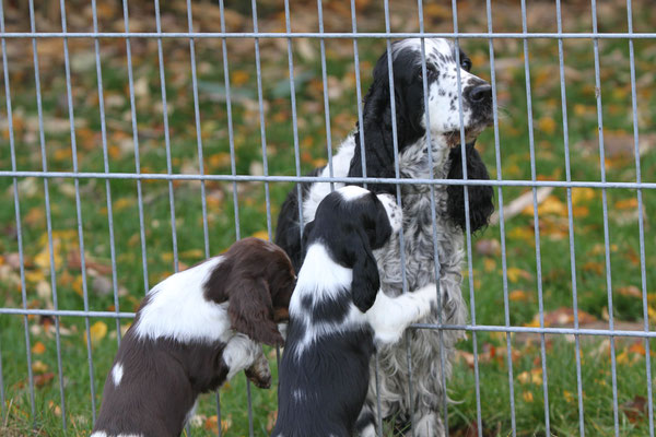 Huxley & Hurley würden gerne mit Luise knutschen...