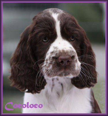 Paula "Cocoloco"