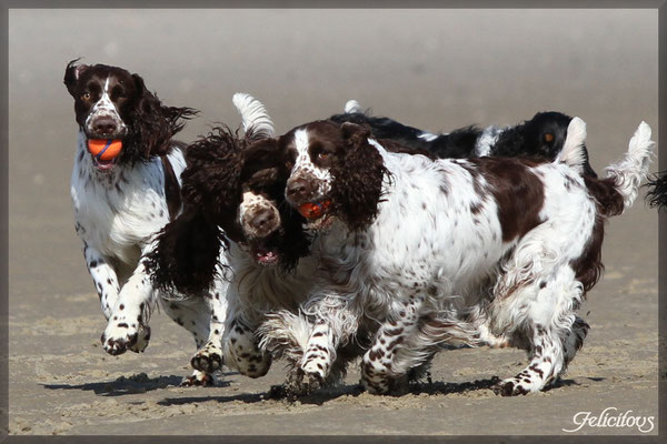 Hoppla links und Mama Lotta rechts