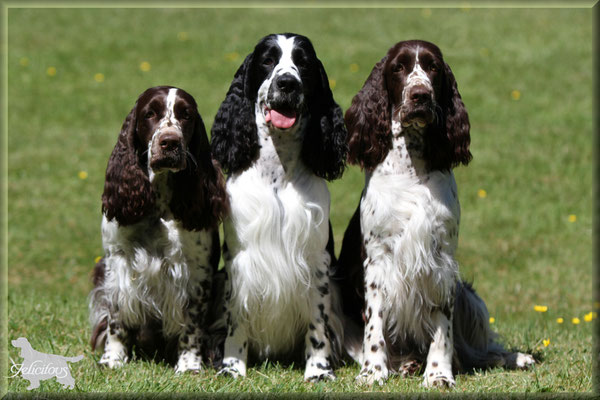 Halbschwester Charmin, Milo & Hoppla