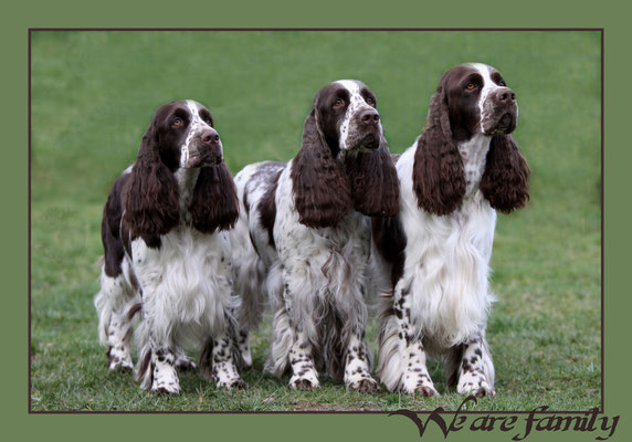 Charmin, Mama Lotta und Bruder Clooney