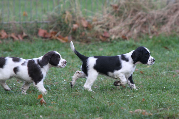 Hurley voraus und Hazel hinterher