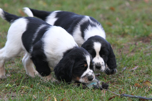 komisches Teil da - Hopper und Hurley