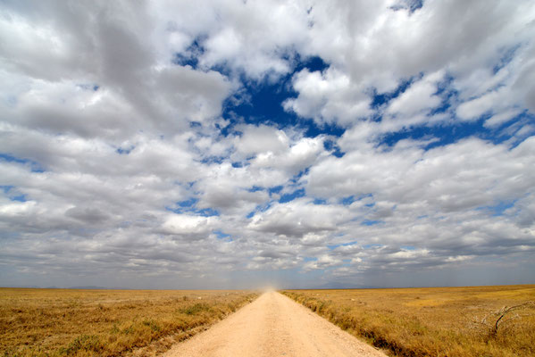 Landschaft