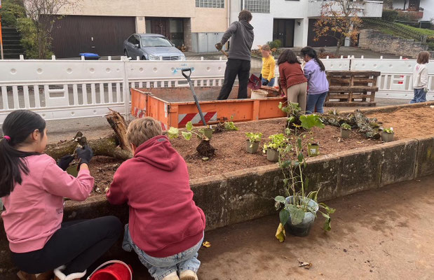 Foto © Schlossgartenschule