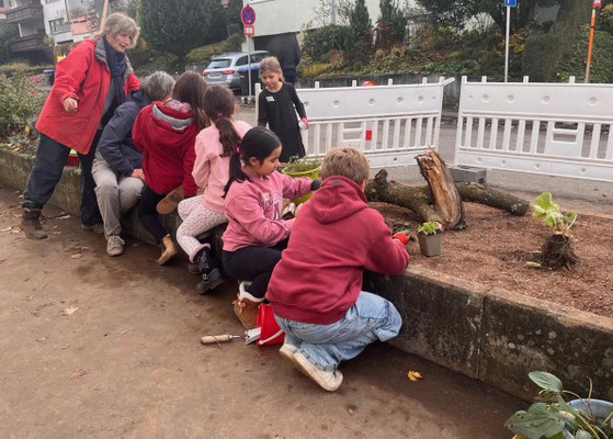 Foto © Schlossgartenschule