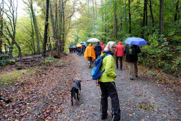 Vom Waldparkplatz ging es ca. 2 km durch den Wald zur Windenergieanlage - auf dem Waldweg,       über den auch die Bauteile für die WEA transportiert wurden
