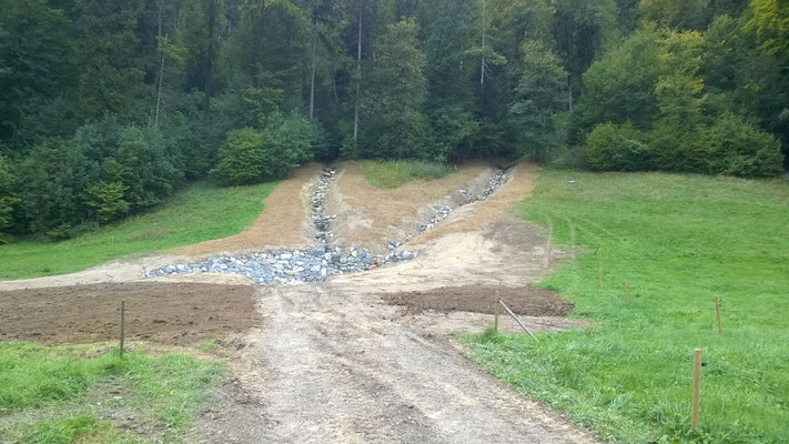 Nach dem Bau: Beide Seitenarme des Risbachs fliessen aus dem Wald in den neuen Geschiebesammler