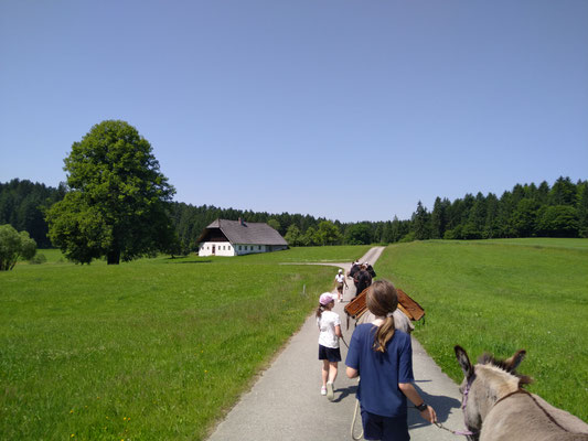 Wanderung