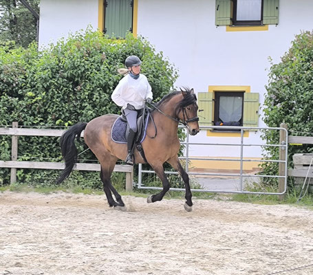 Pirata in einer Trainingseinheit