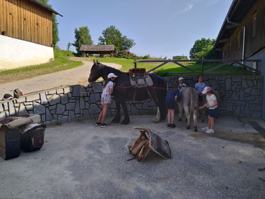 Ramlhof
