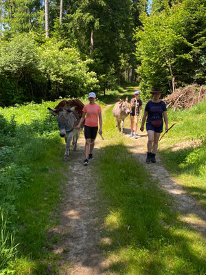 Wanderung
