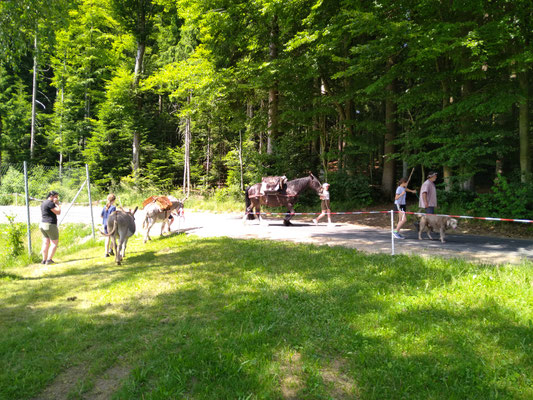 Wanderung