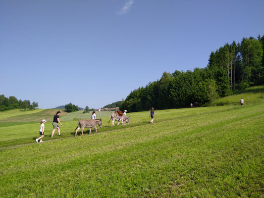 Wanderung
