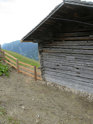 Neue Schuhe, neuer Zaun...