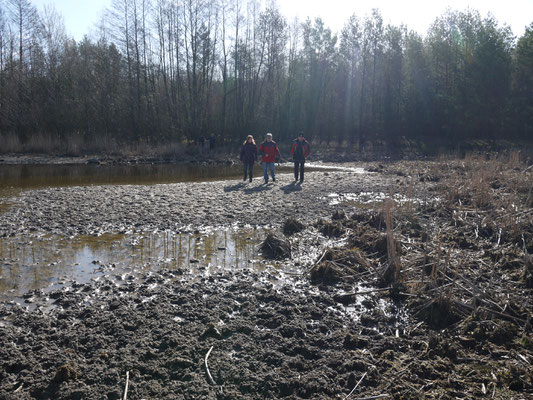 Viel frequentierter Flachwasserbereich; Foto: Michael Wetzel