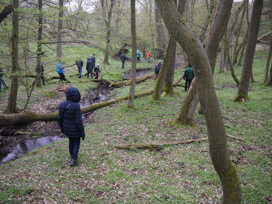 Bülstringer Bäk oberhalb des ehemaligen Silberkuhle-Damms; Foto: Michael Wetzel