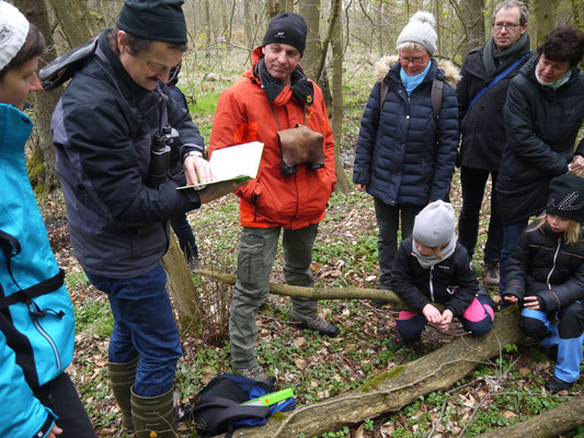 Bestimmung des Goldsterns; Foto: Michael Wetzel