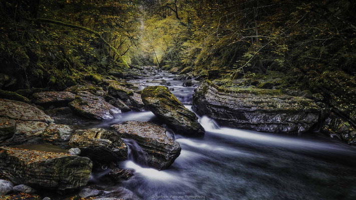 Torrent bleu