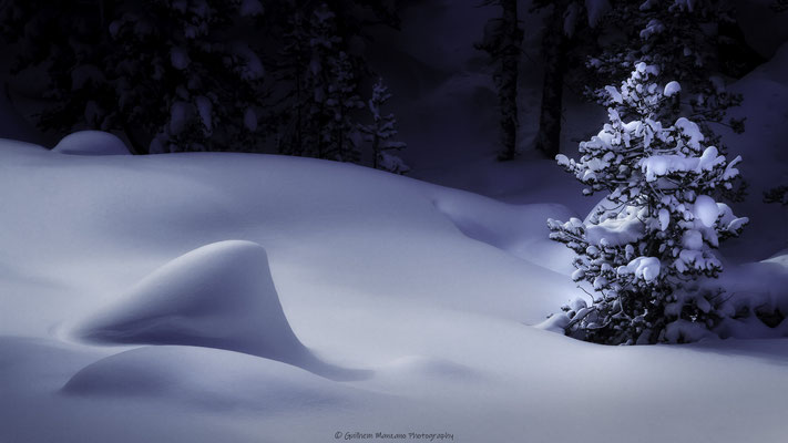 Courbes neigeuses